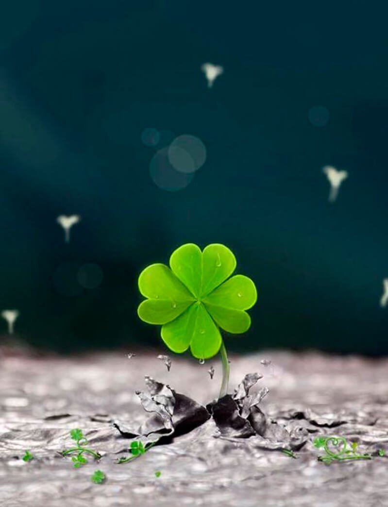 799x1044  Картинка на удачу в жизни - 66 фото