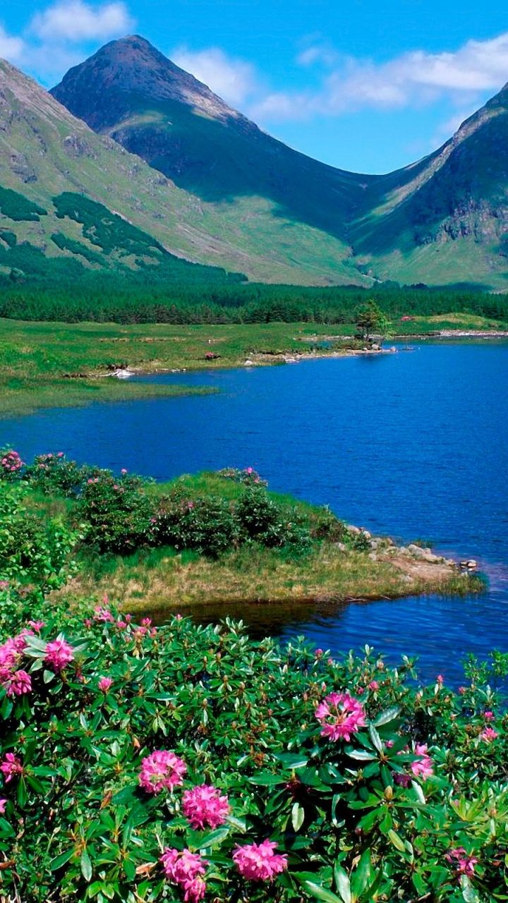 720x1280  720x1280 Обои горы, озеро, цветы, склоны, зелень, трава, лето | Sunrise  pictures, Mountain wallpaper, Scenery