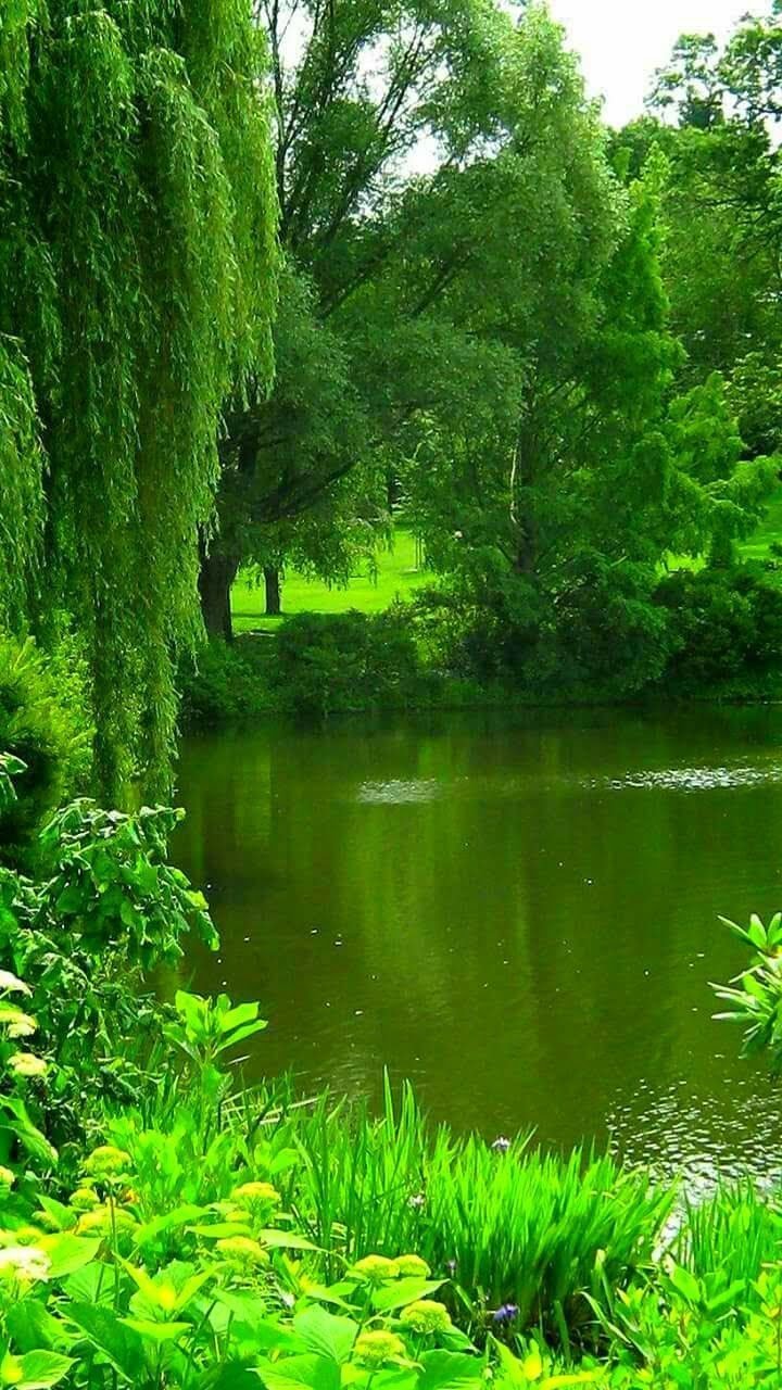 720x1280  Картинки на телефон природа лето - 74 фото