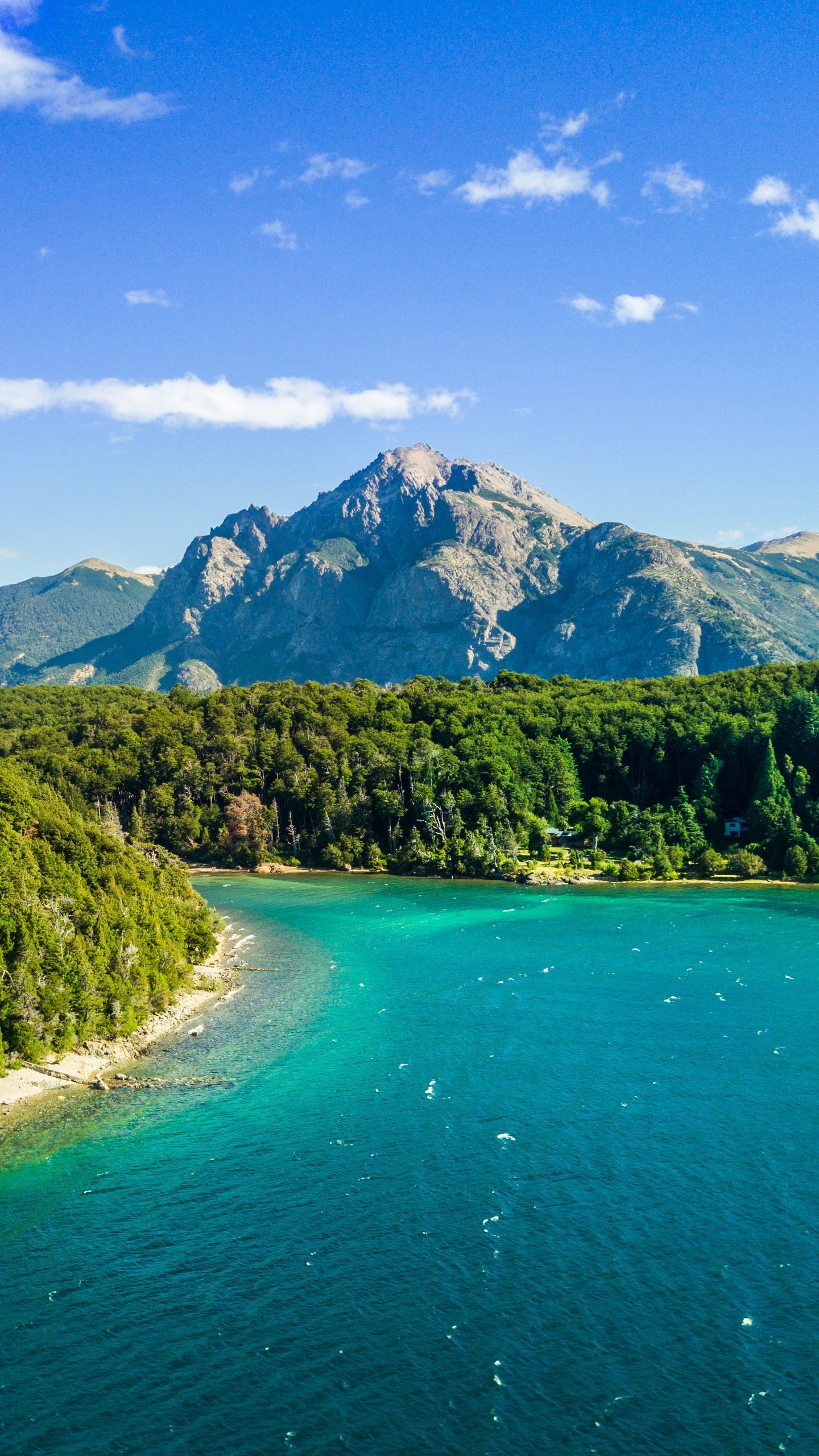 1440x2560  Скачать 938x1668 цветы, дождь, бутоны, зелень, природа обои, картинки  iphone 8/7/6s/6 for parallax