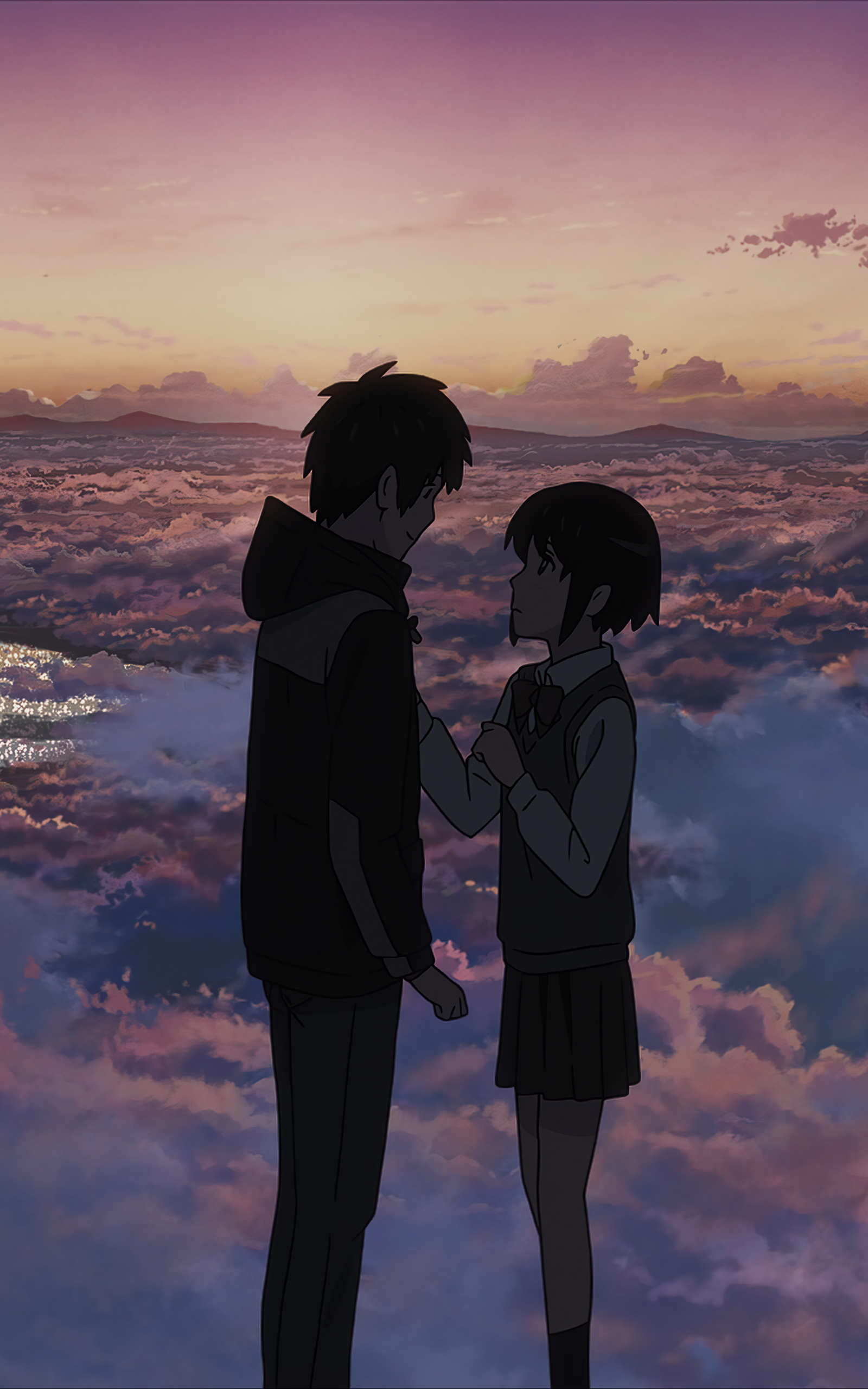 1600x2560  Обои на телефон: Аниме, Твоё Имя, Мицуха Миямидзу, Таки Тачибана, 1349081  скачать картинку бесплатно.