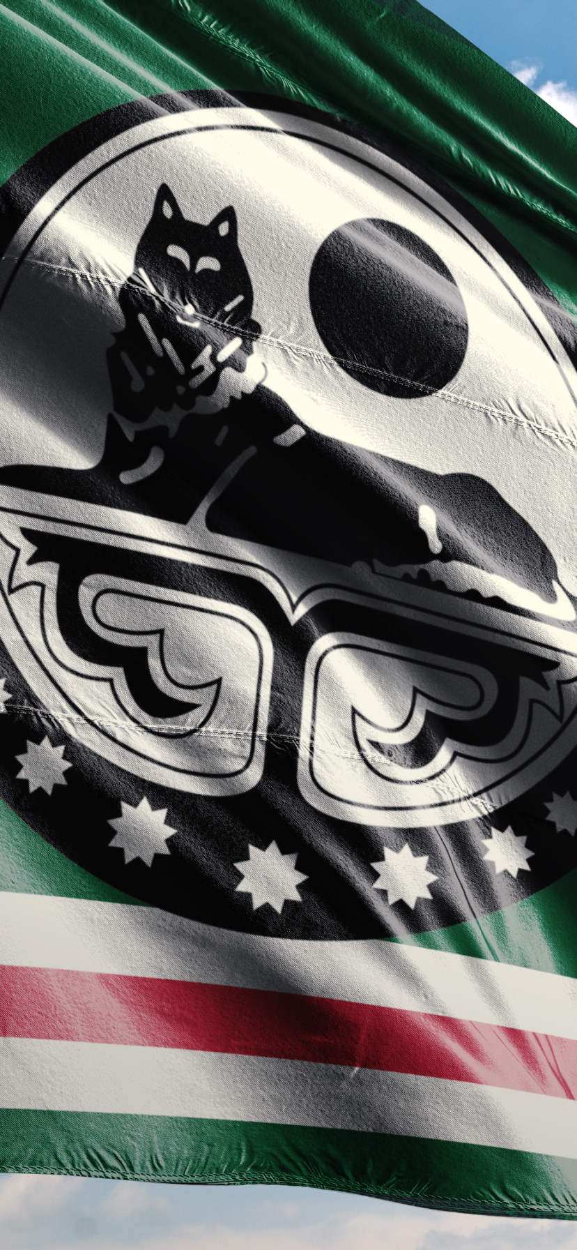 828x1792  Скачать обои \"Флаг Чечни\" на телефон в высоком качестве, вертикальные  картинки \"Флаг Чечни\" бесплатно