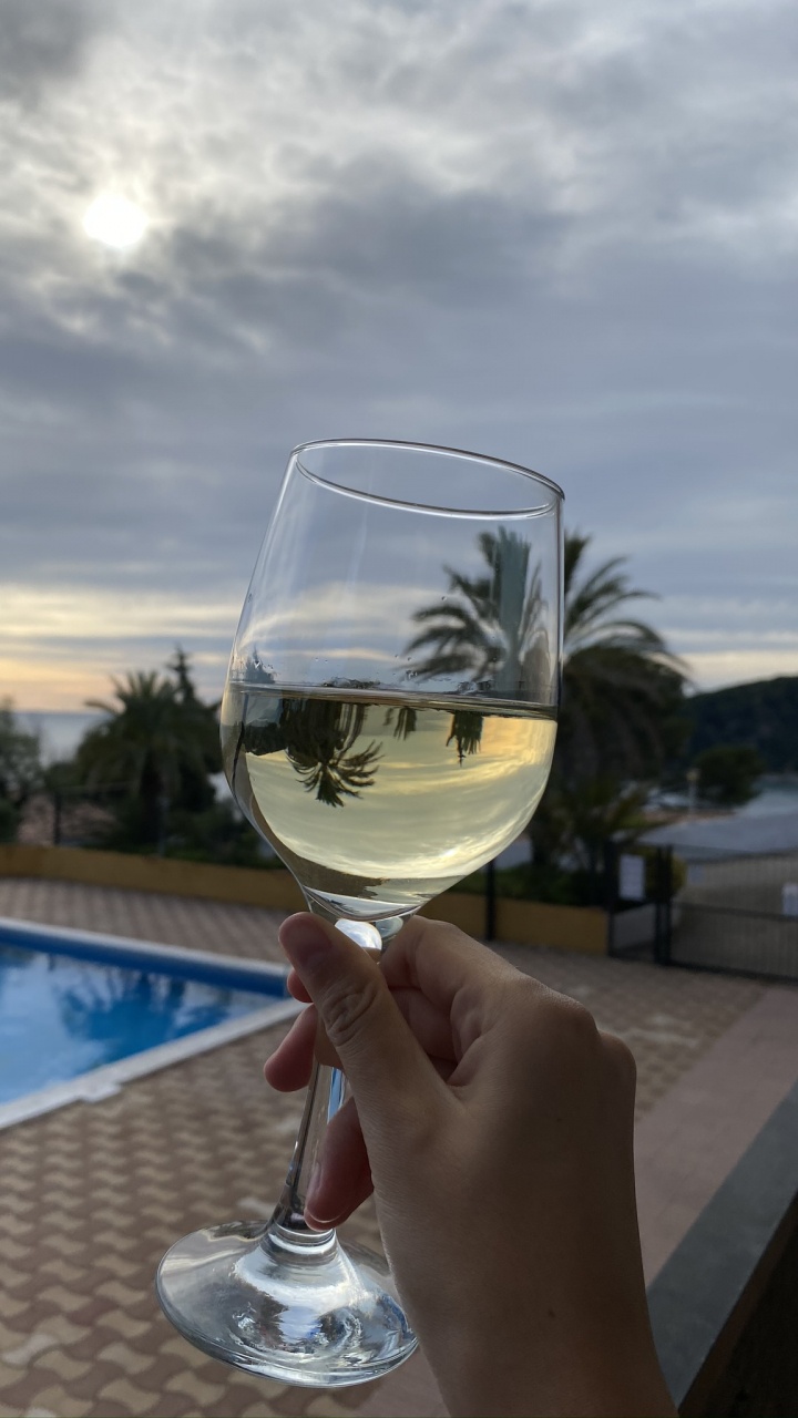 720x1280  Бокал для вина обои для телефона, HD заставки и картинки на экран  блокировки 720x1280 | Akspic