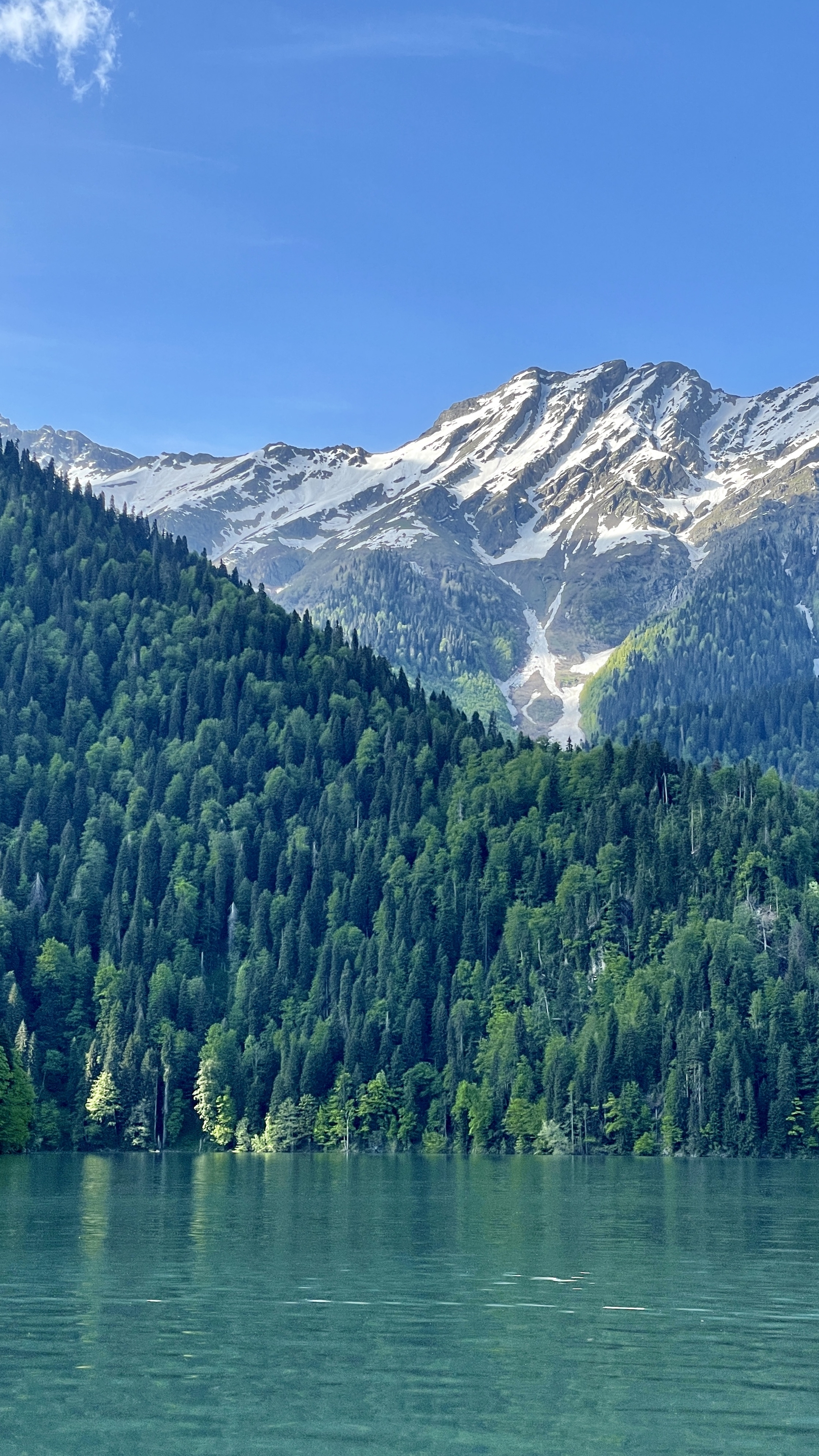 2048x3641  День 98 | Пикабу