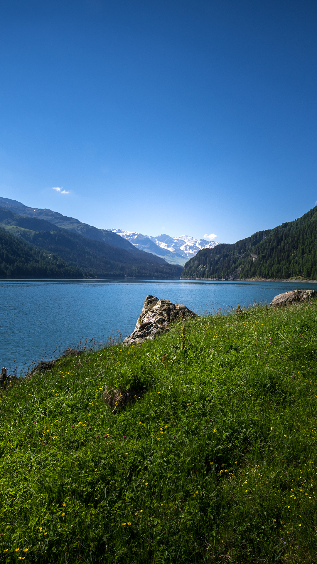 1080x1920  Обои для рабочего стола Швейцария Lake Marmorera ели Горы 1080x1920