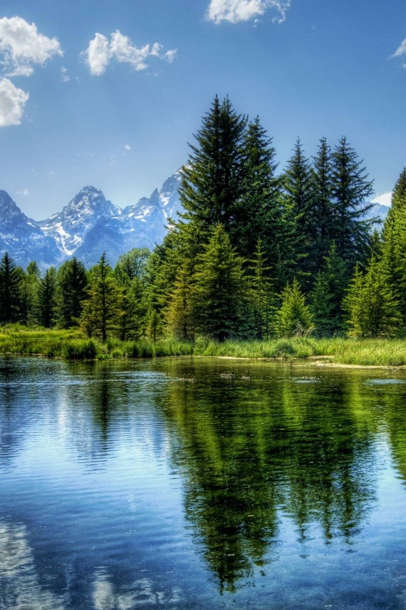 800x1200  Скачать 800x1200 озеро, горы, природа, деревья, отражение, небо, вода обои,  картинки iphone 4s/4 for parallax