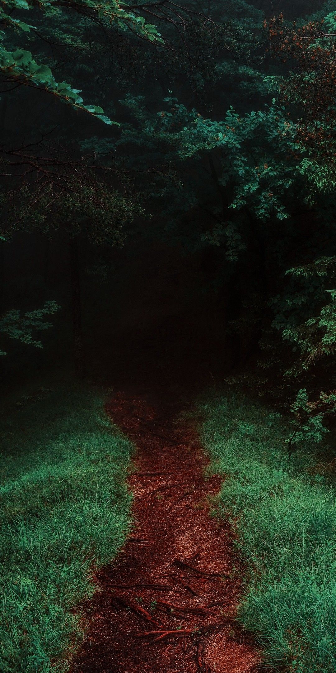 1080x2160  Wallpaper dark green | Современный пейзаж, Пейзажи, Живописные пейзажи