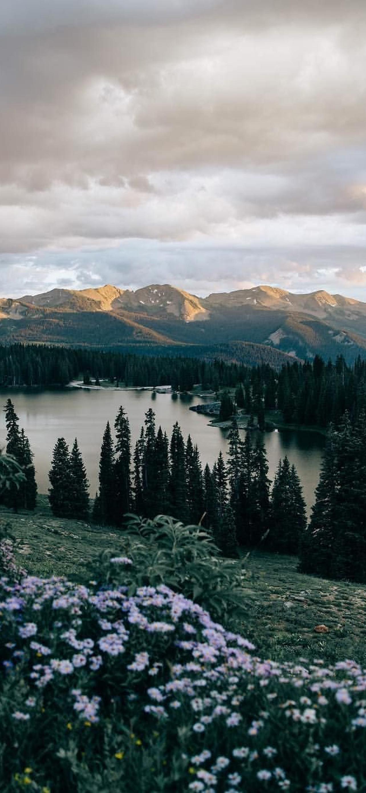 1284x2778  Современная природа обои на телефон [20+ изображений]