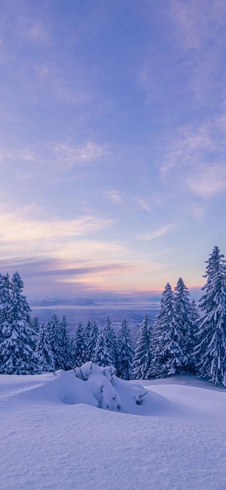 736x1592  Природа/Nature в 2023 г | Зимние картинки, Зимние сцены, Покраска обоев