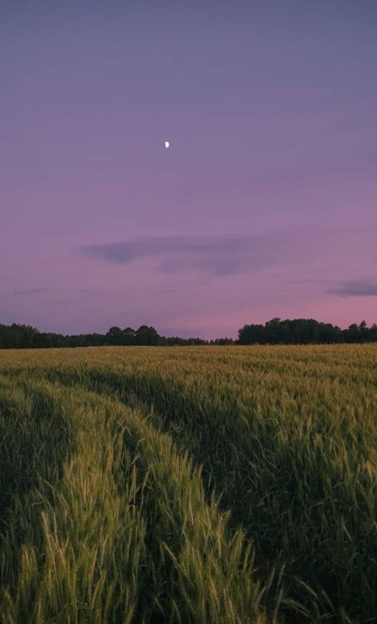 736x1217  Пин от пользователя Maria-Vera Key на доске NATURE | Природа, Обои для  телефона, Обои