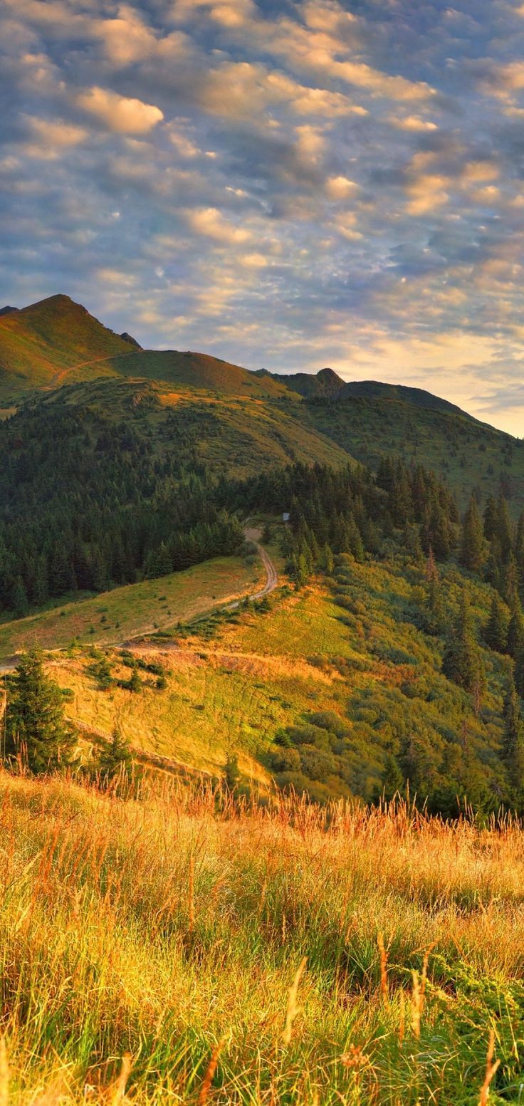 736x1553  Пин на доске Фоновые изображения