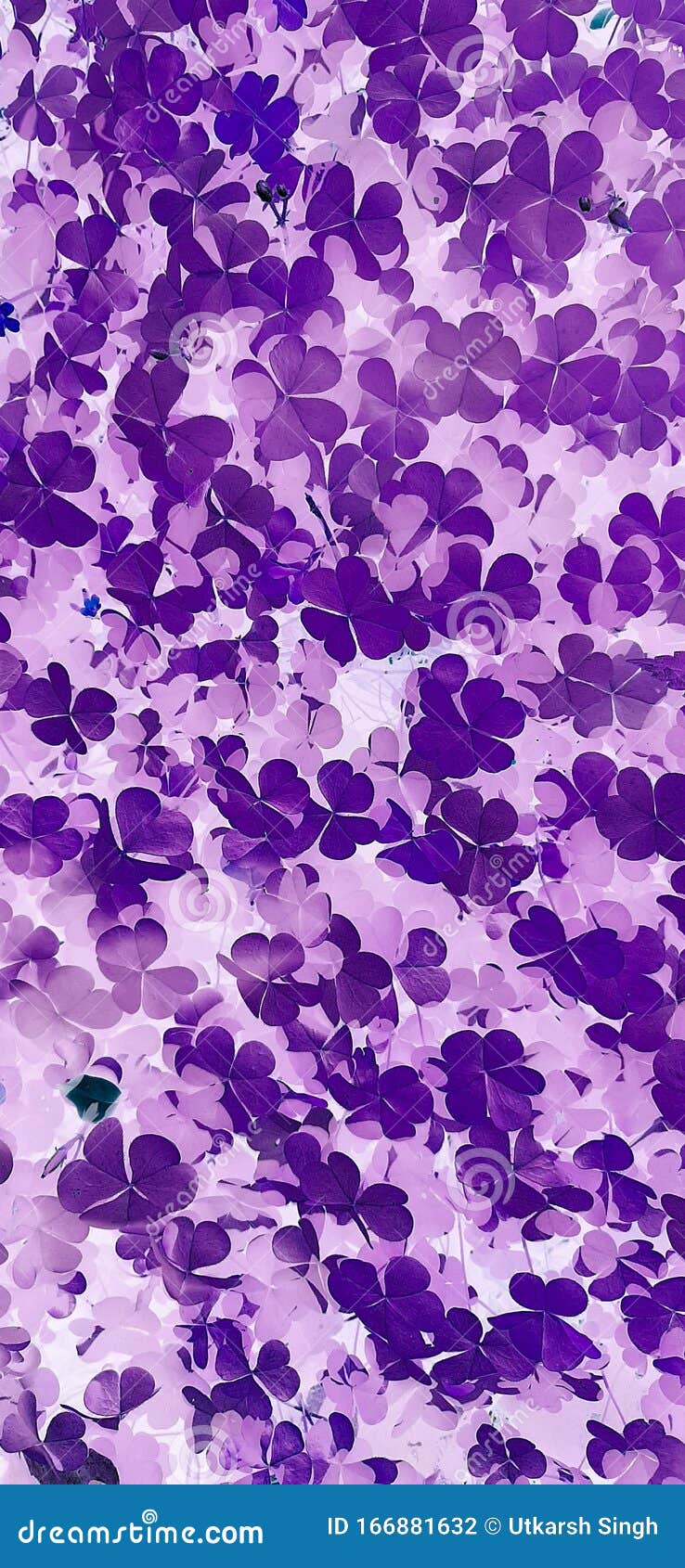 738x1690  Лиловый фиолетовые обои на телефон - 71 фото