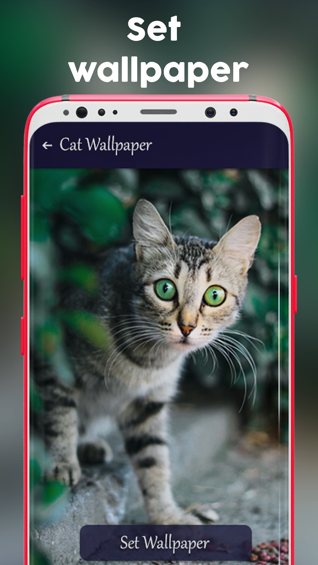 1020x1813  ДО КОНЦА ПОДПИСКИ НА 'ВЕЧЕРКУ1 ОСТАЛОСЬ 15 ДНЕЙ