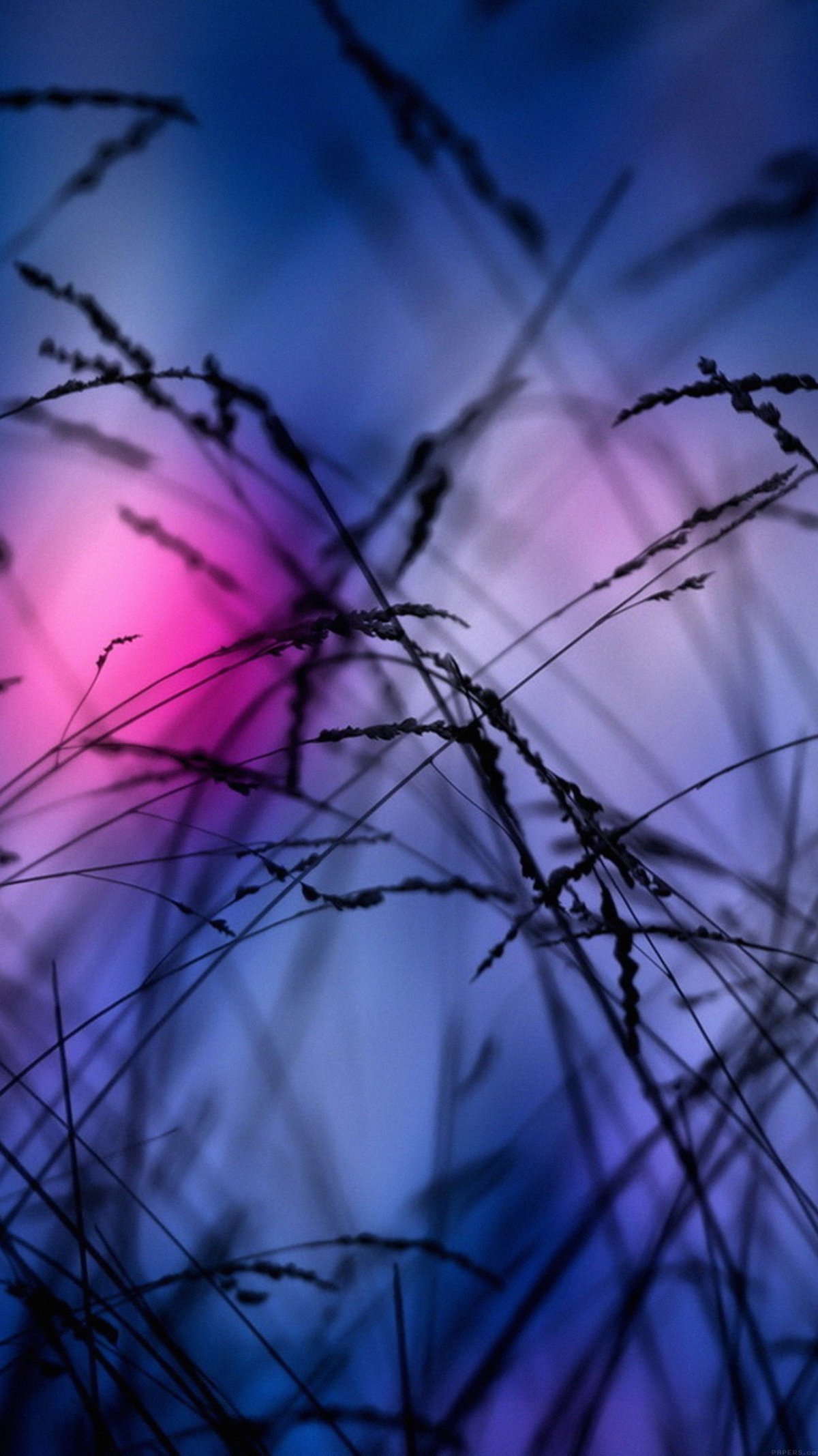 1200x2134  Тройные обои для друзей - 68 фото