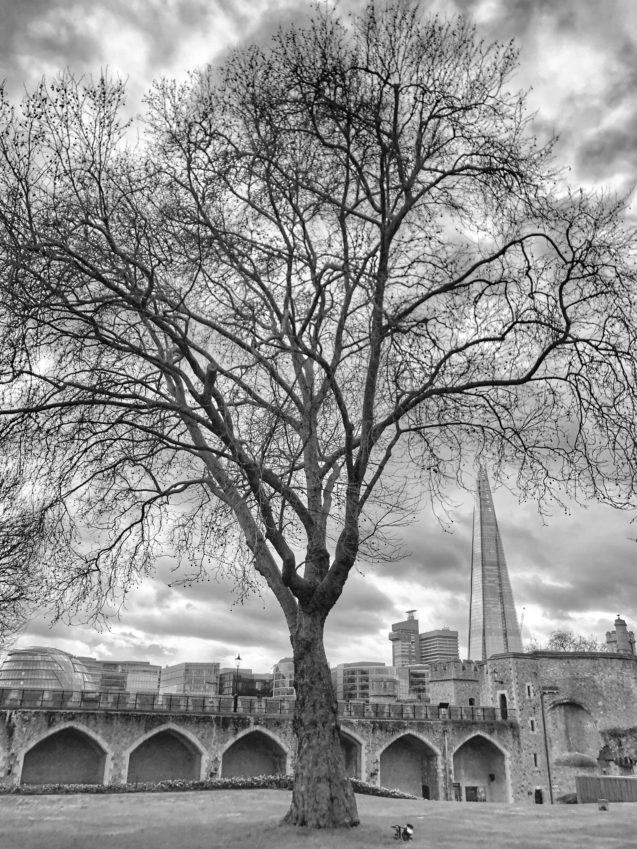 2048x2731  50 оттенков серого Лондона | Пикабу