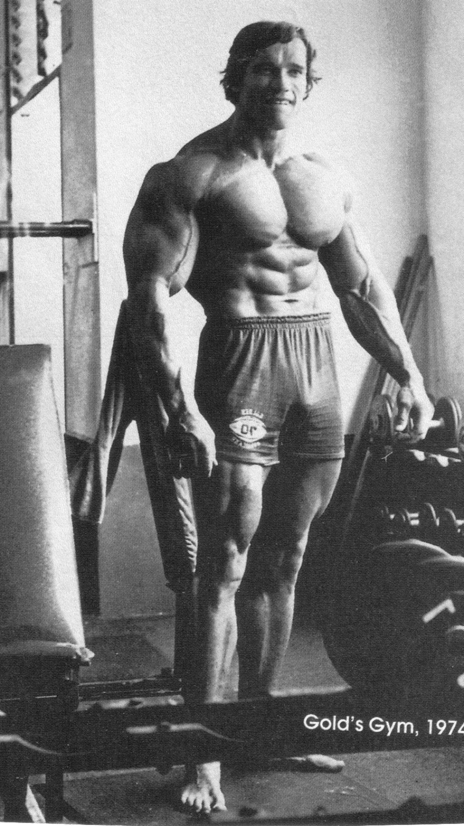 938x1668  Арнольд Шварцнеггер обои на телефон (17 фото)