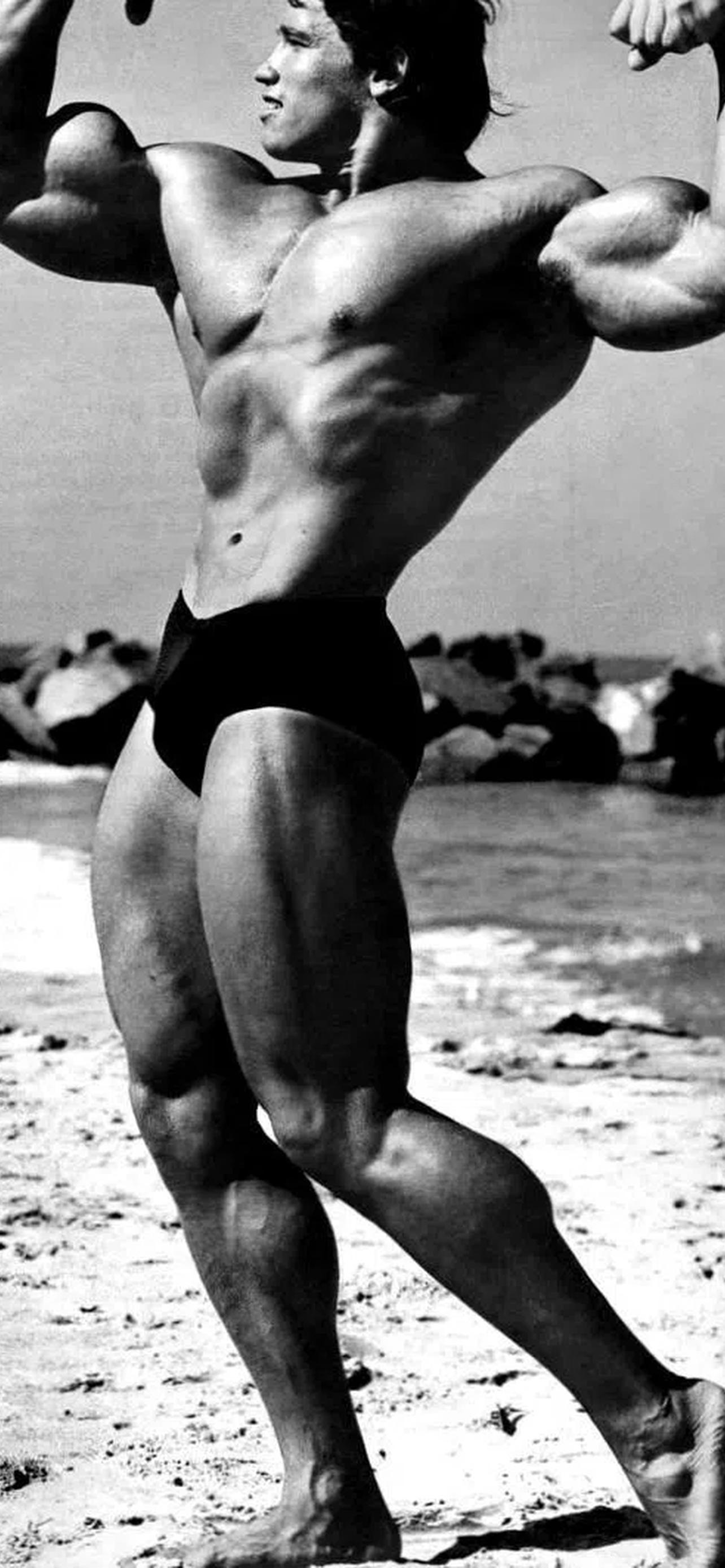 1284x2778  Арнольд Шварценеггер HD обои на телефон [4+ изображений]