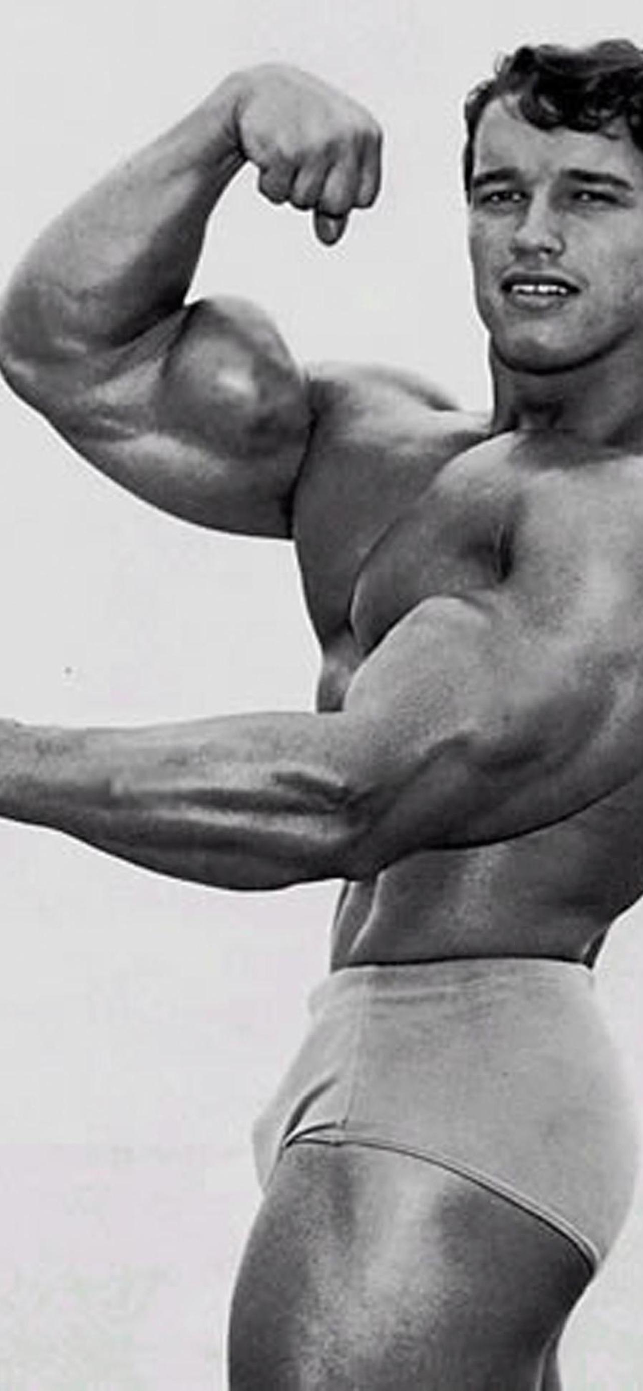 1284x2778  Арнольд Шварценеггер HD обои на телефон [4+ изображений]