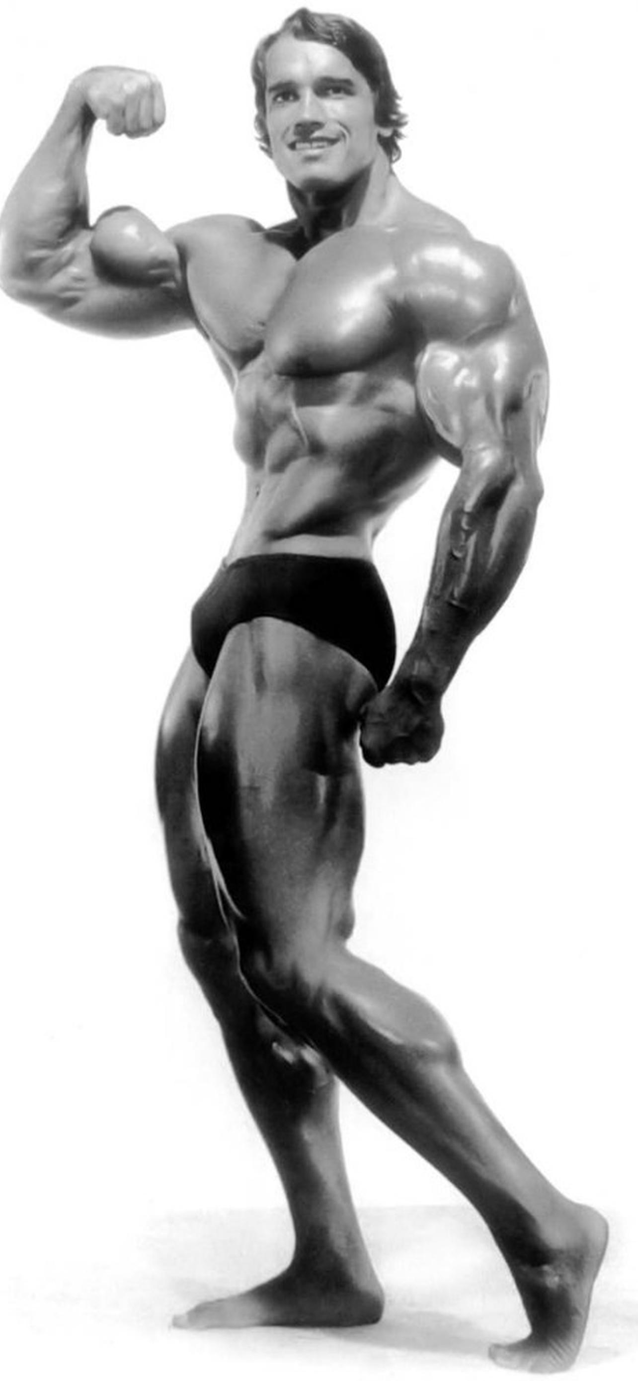 1284x2778  Arnold Schwarzenegger (Арнольд Шварценеггер) обои на телефон [31+  изображений]