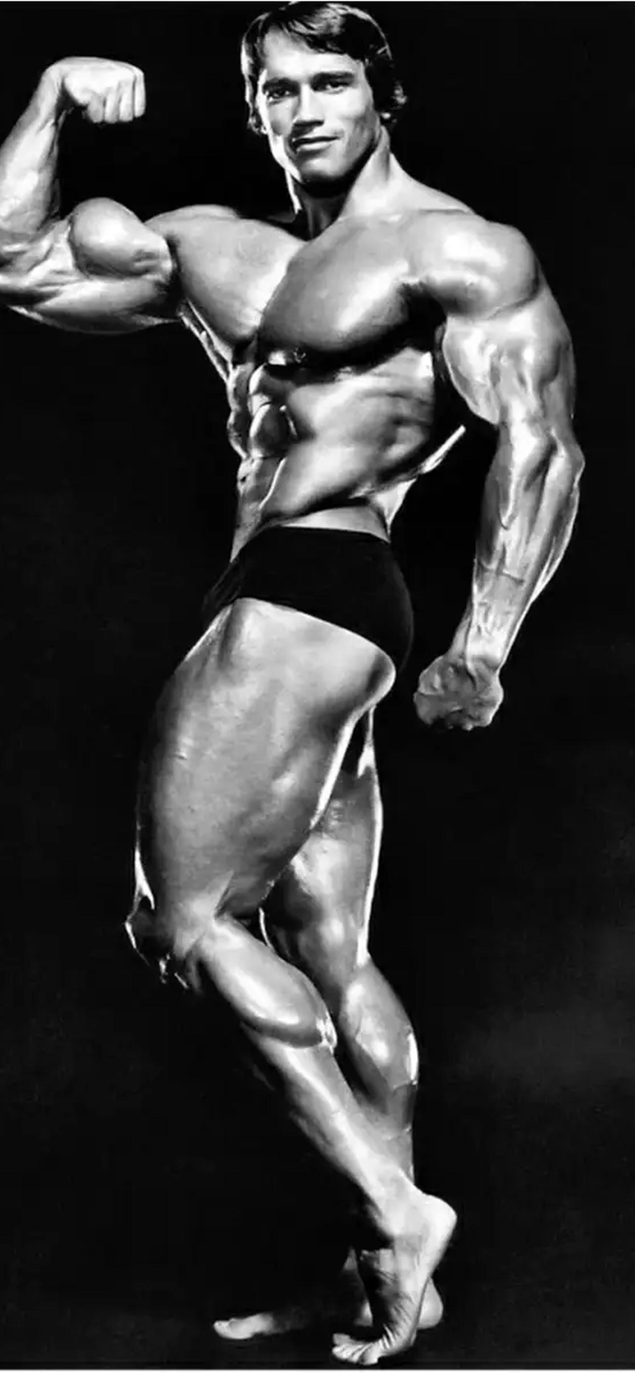 1284x2778  Arnold Schwarzenegger (Арнольд Шварценеггер) обои на телефон [31+  изображений]