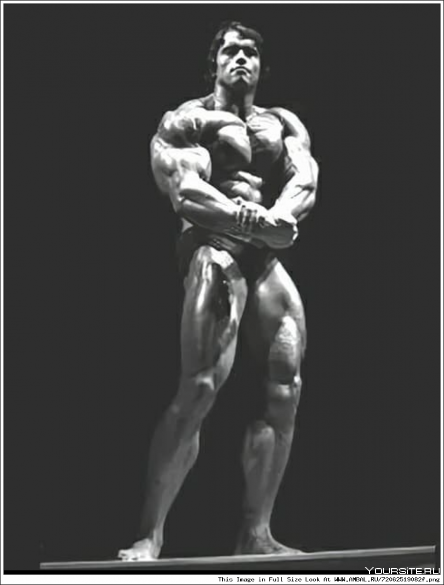 911x1200  Арнольд Шварценеггер бодибилдинг Мистер Олимпия - 89 фото