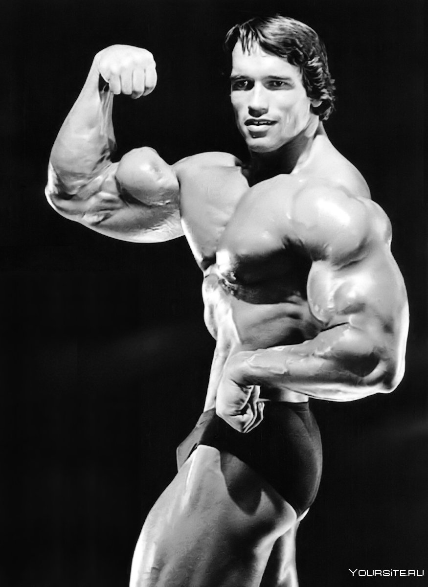 875x1200  Арнольд Шварценеггер культурист - 47 фото