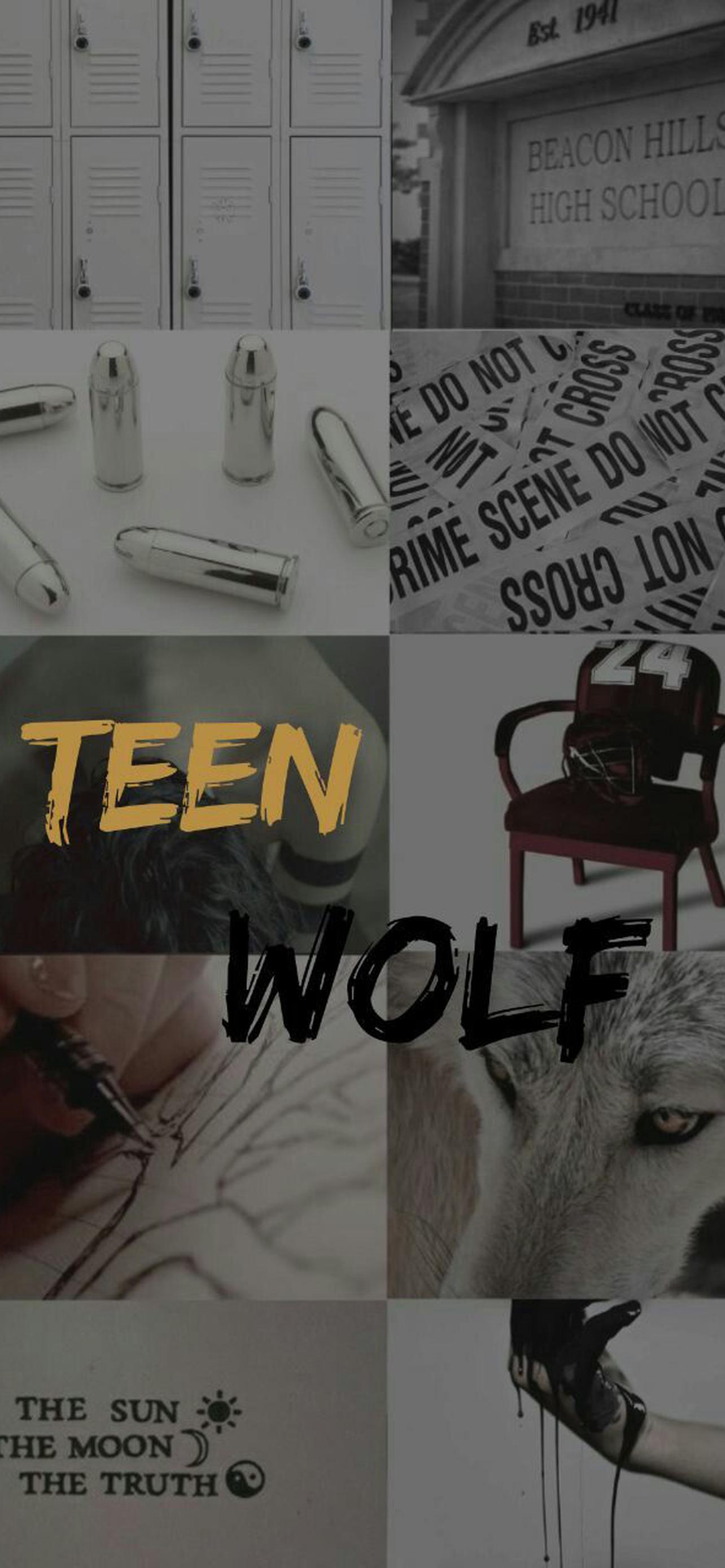 1284x2778  Волчонок обои на телефон [34+ изображений]