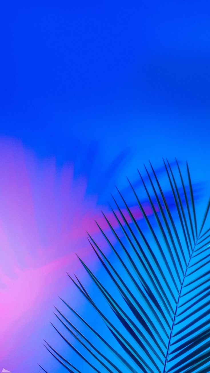 735x1308  Обои для телефона в HD качестве | Пейзажи, Ткань фон ткани, Голубой неон
