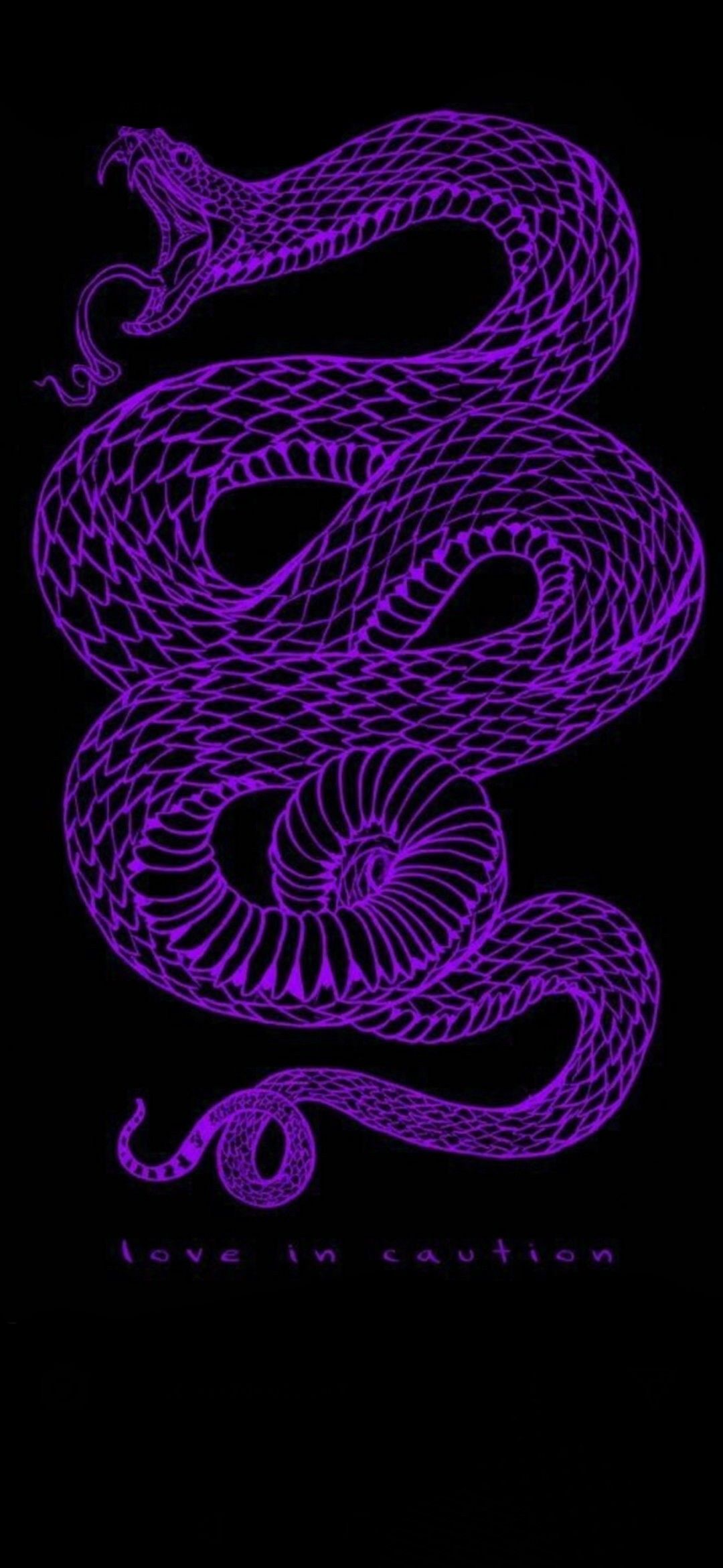 1080x2340  Картинки кобра (45 фото) » Юмор, позитив и много смешных картинок