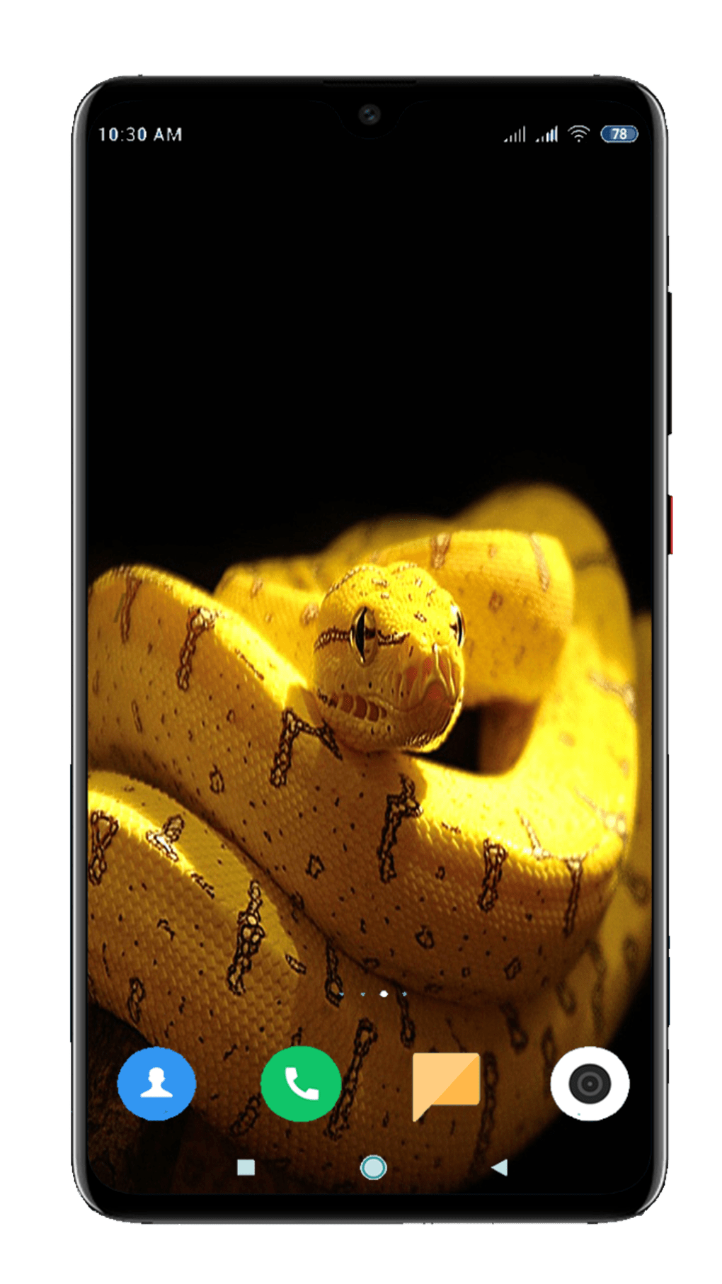 1020x1813  Скачать Cobra Kai Wallpapers 2021 APK для Android