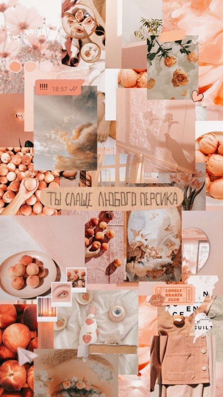 720x1280  Обои для рабочего стола Лучи света Рыбы Подводный мир 1080x1920