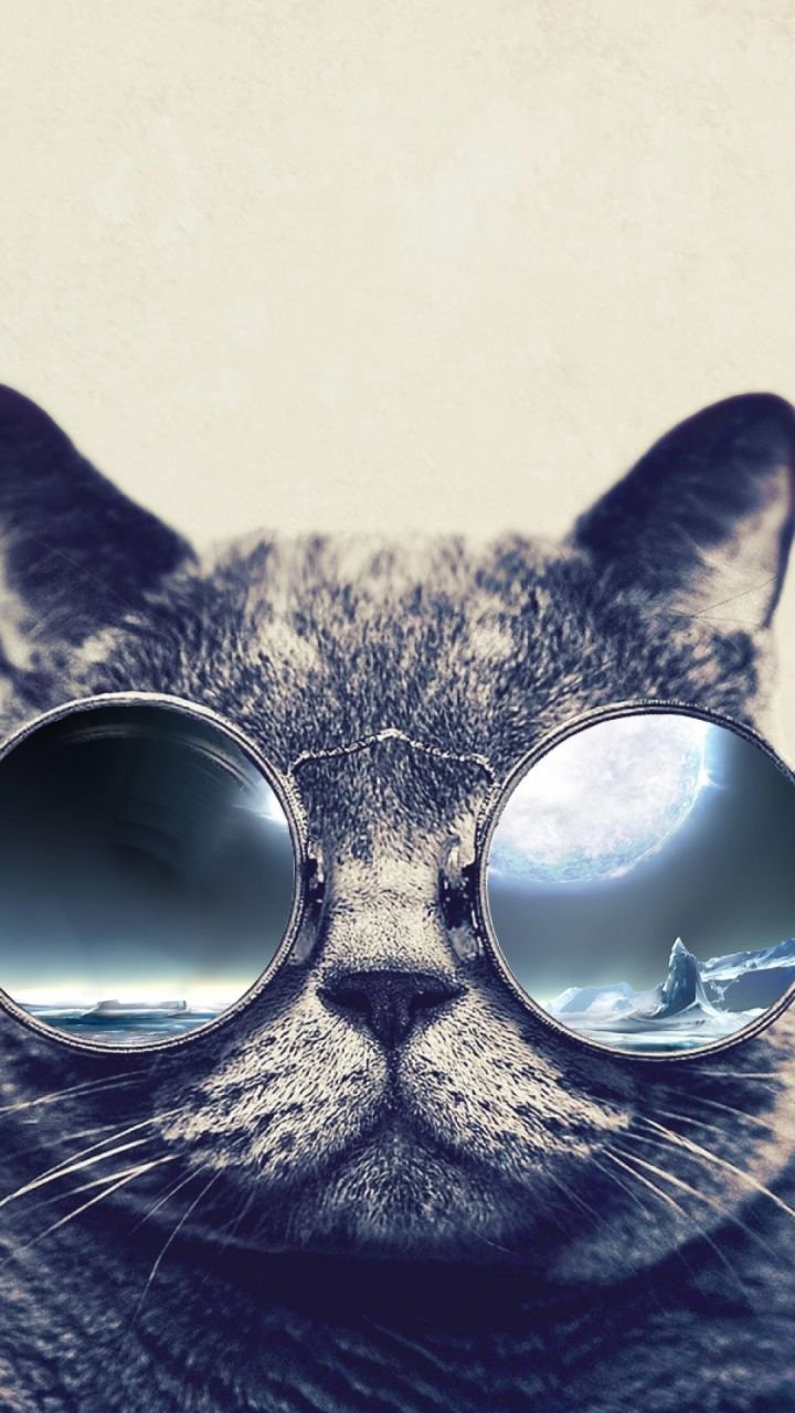 720x1280  Кот в очках обои - 54 фото