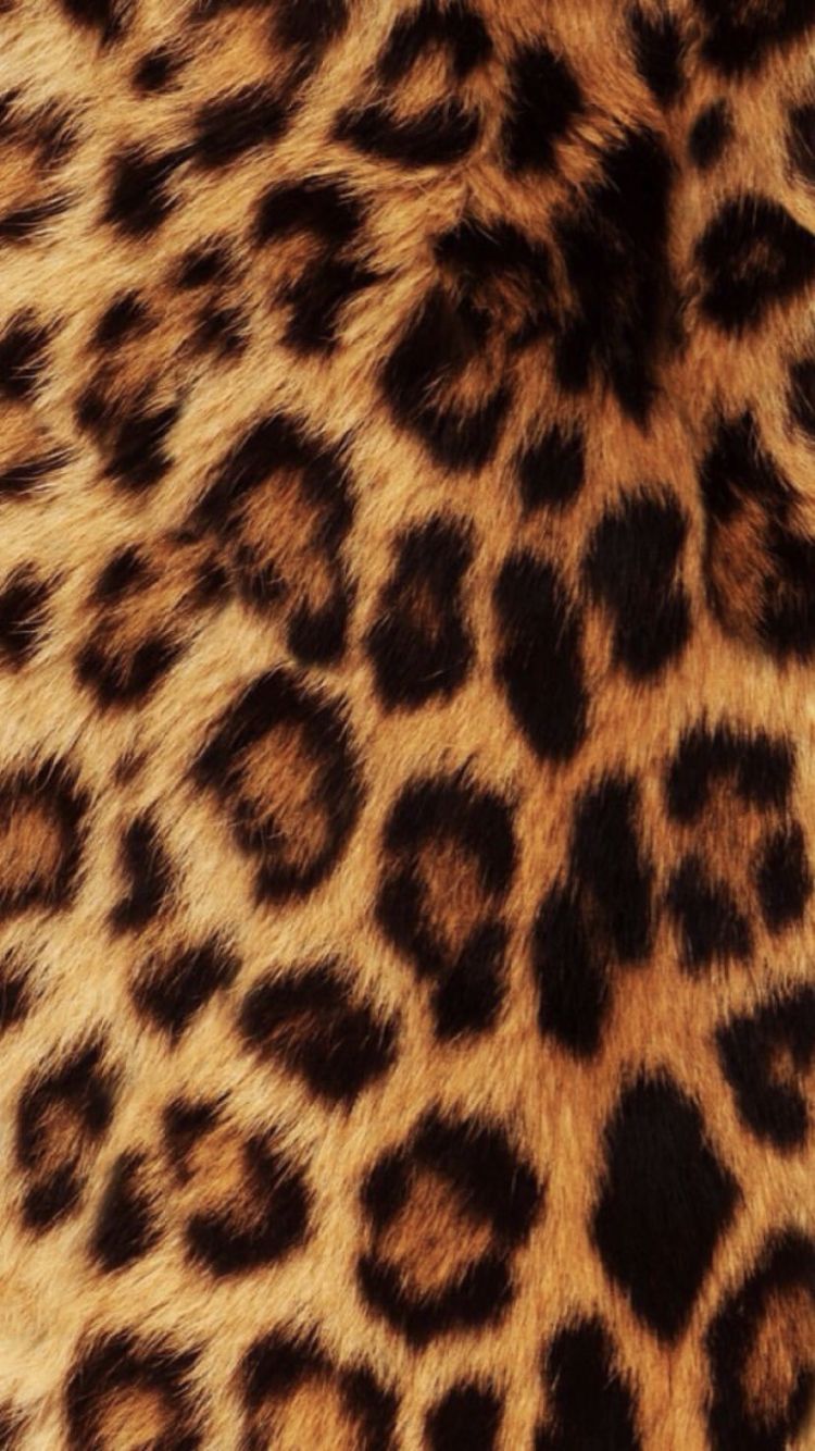 750x1334  Леопард | Cheetah print wallpaper, Animal print wallpaper, Leopard print  background