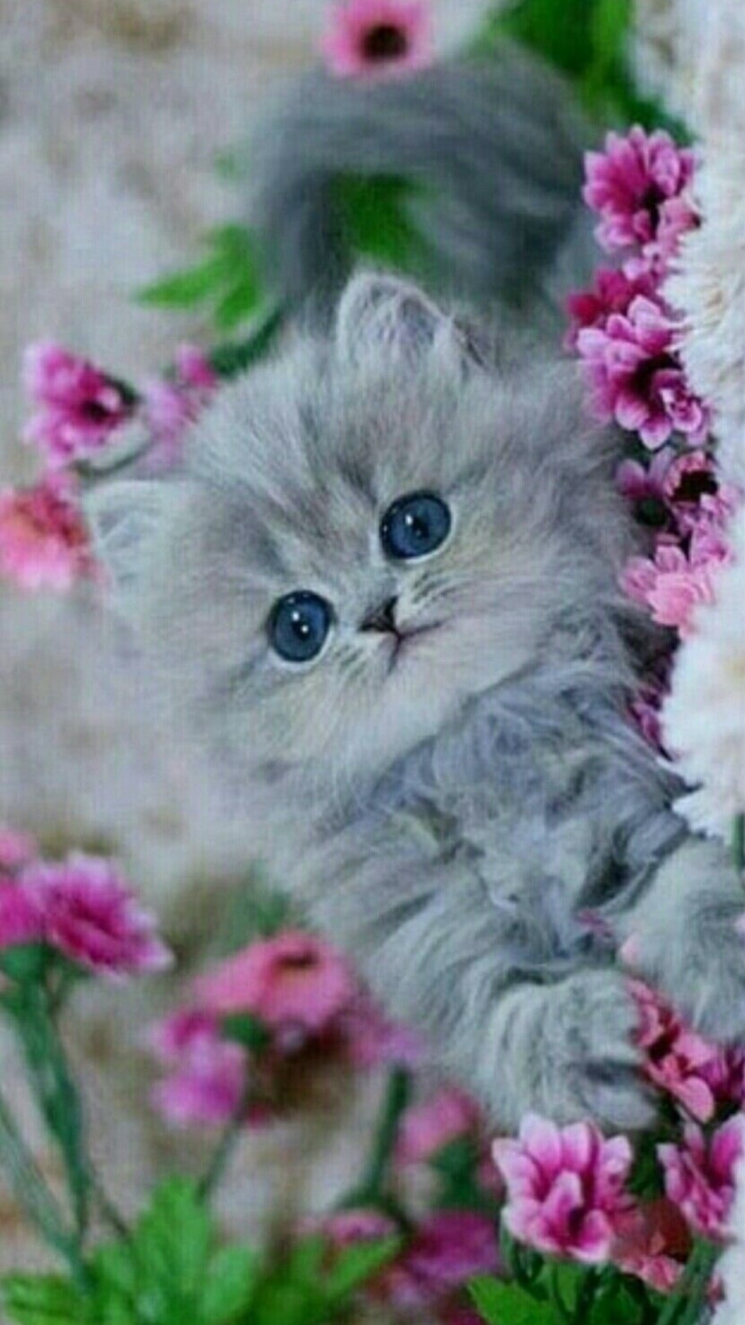 1080x1920  Картинки на телефон котики - 69 фото