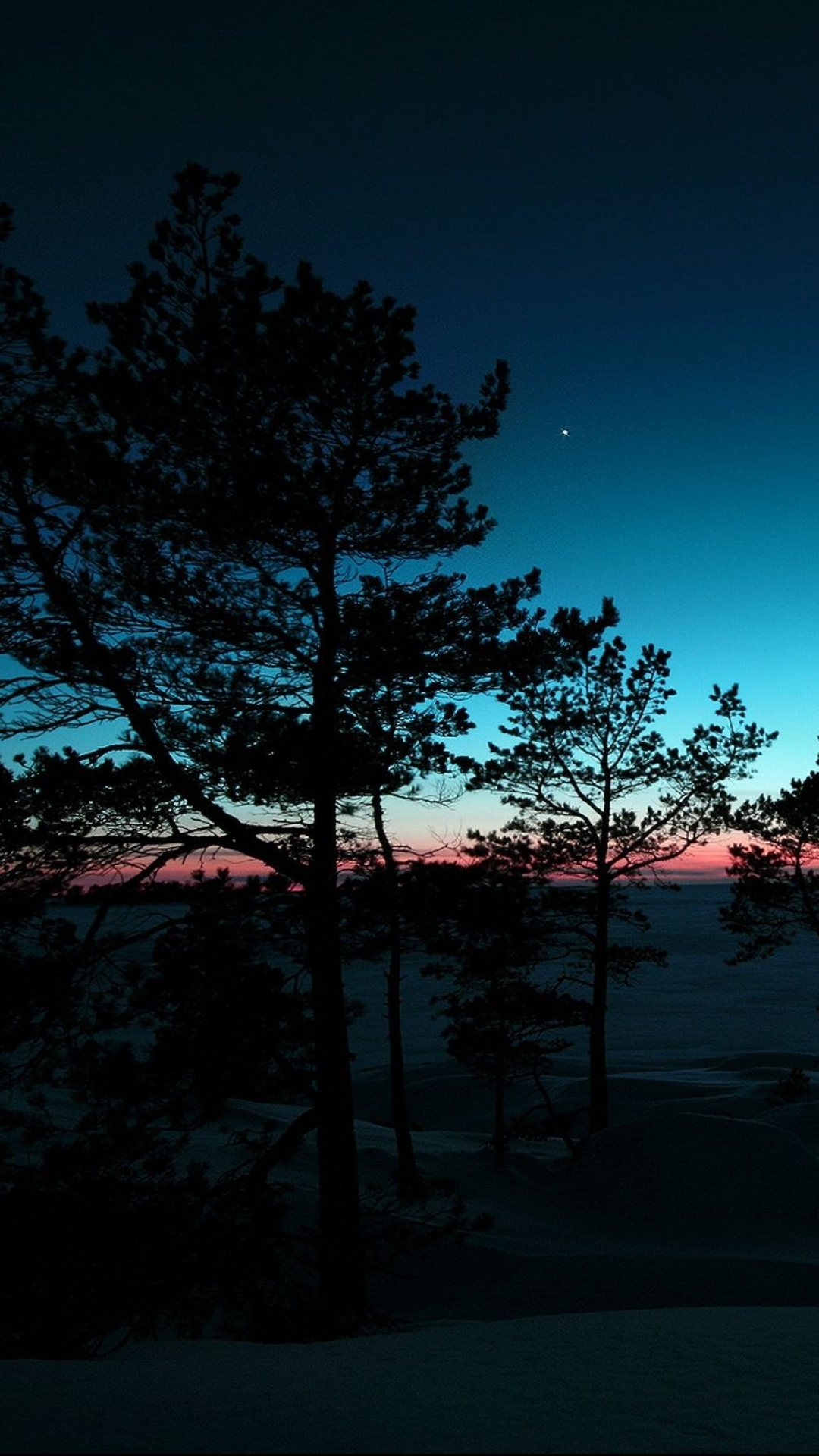 1080x1920  Рождественская елка огни Боке #iPhone #6 #plus #wallpaper #iphone #6 #plus # Коллекция обоев… | Обои iphone neon, Рождественские огни обои, Размытые огни