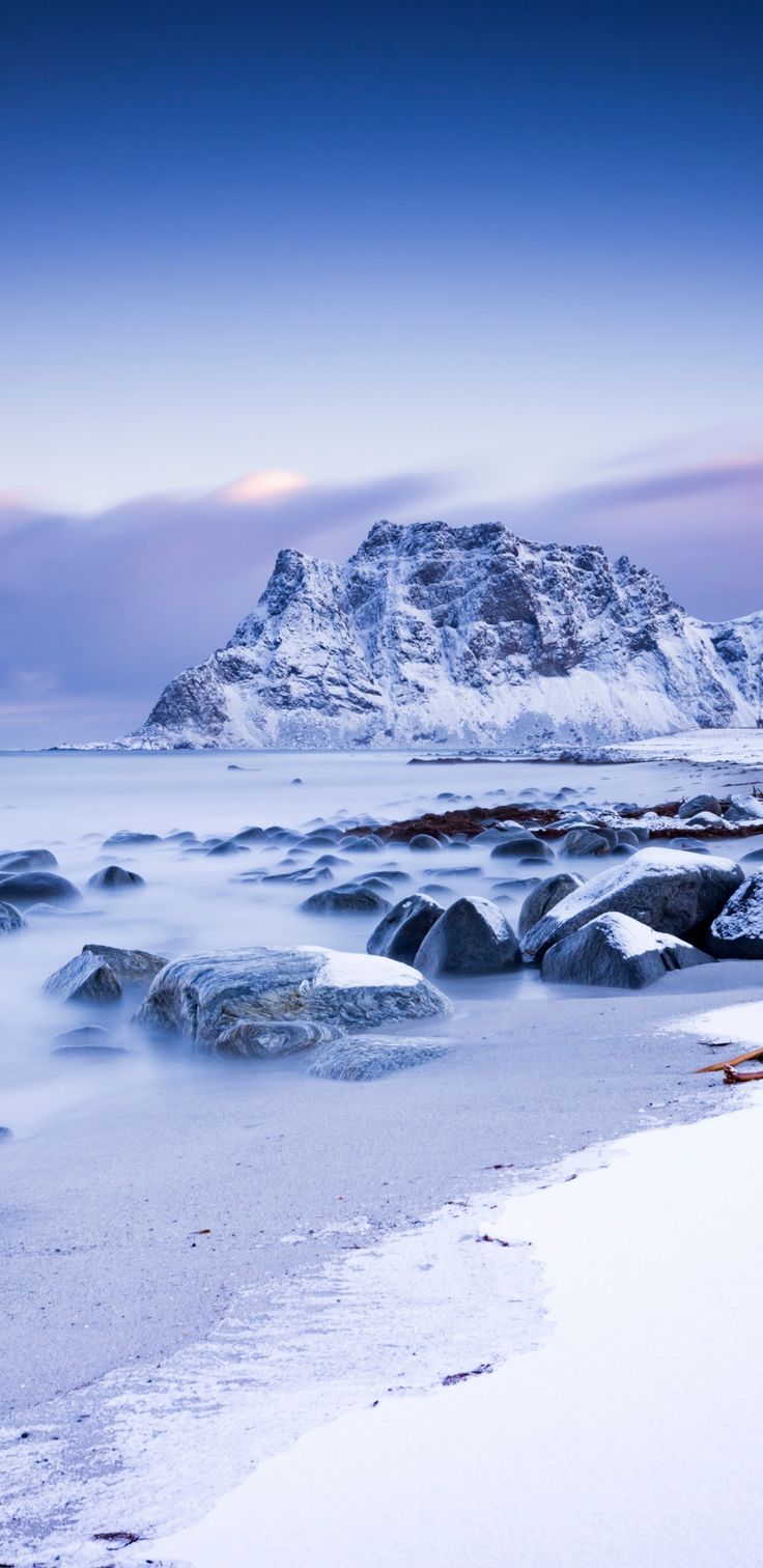 736x1512  Бесплатные HD обои для рабочего стола, iPad, планшетов, iPhone, телефонов Android | Обои, Неоновые обои, Бесплатные hd обои