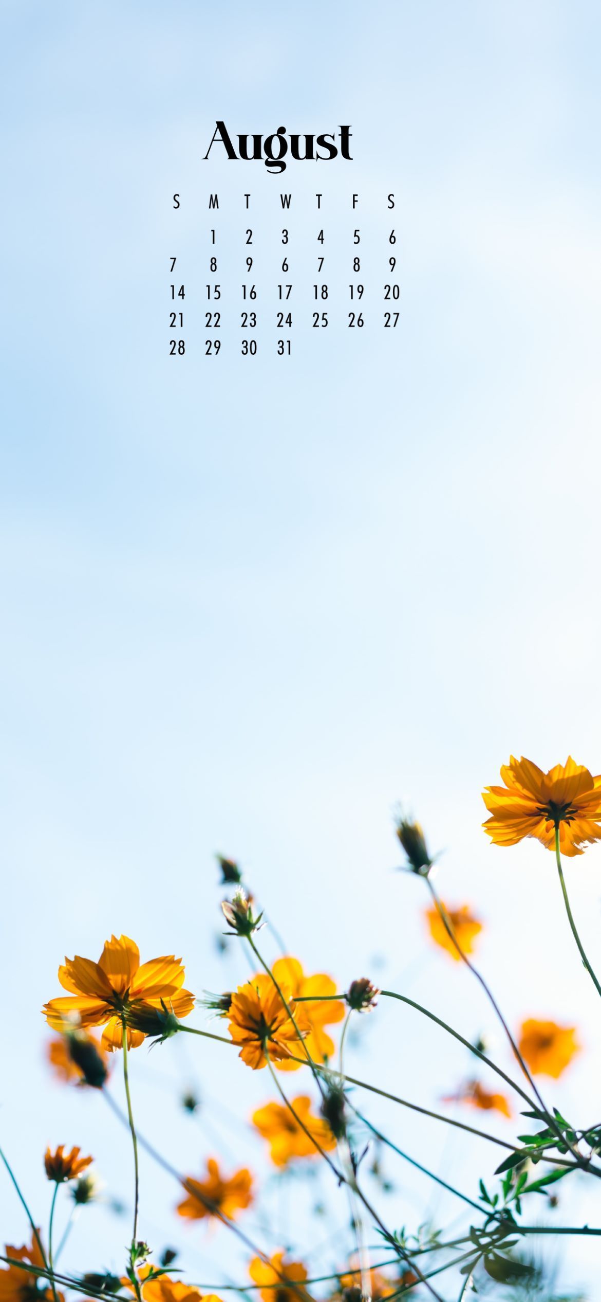 1170x2532  Free August 2022 Calendar Aesthetic Wallpaper For iPhone | Calendar  wallpaper, August wallpaper, August calendar