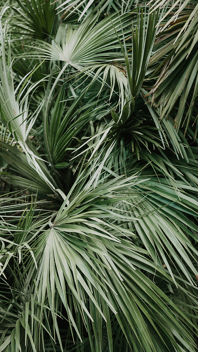 789x1400  JULY WALLPAPER: Обои для рабочего стола