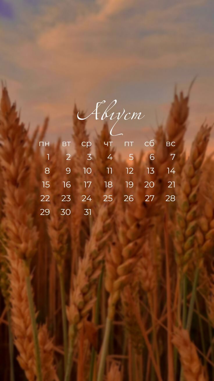 736x1308  Обои на телефон с календарём на август 2022 года | Календарь на август,  Фиолетовые цветочные композиции, Календарь