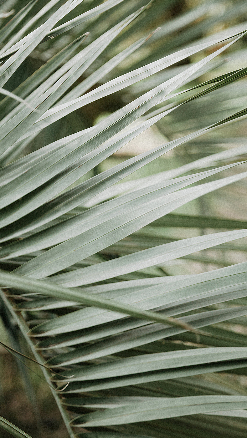 789x1400  JULY WALLPAPER: Обои для рабочего стола