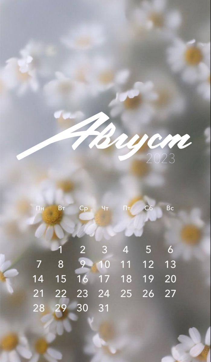 699x1200  Календарь на месяц август 2023 в 2023 г | Летние обои, Календарь, Календарь  на август