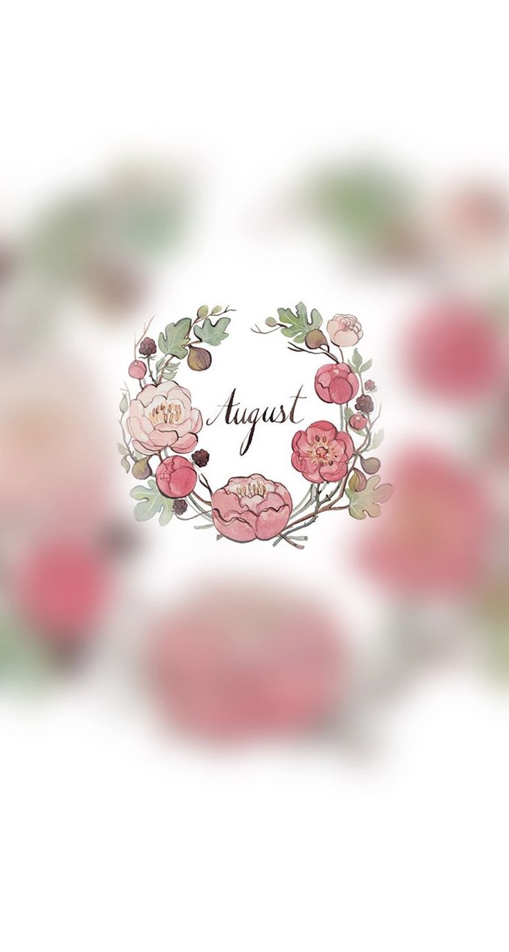 736x1377  Август обои на телефон (19 фото)