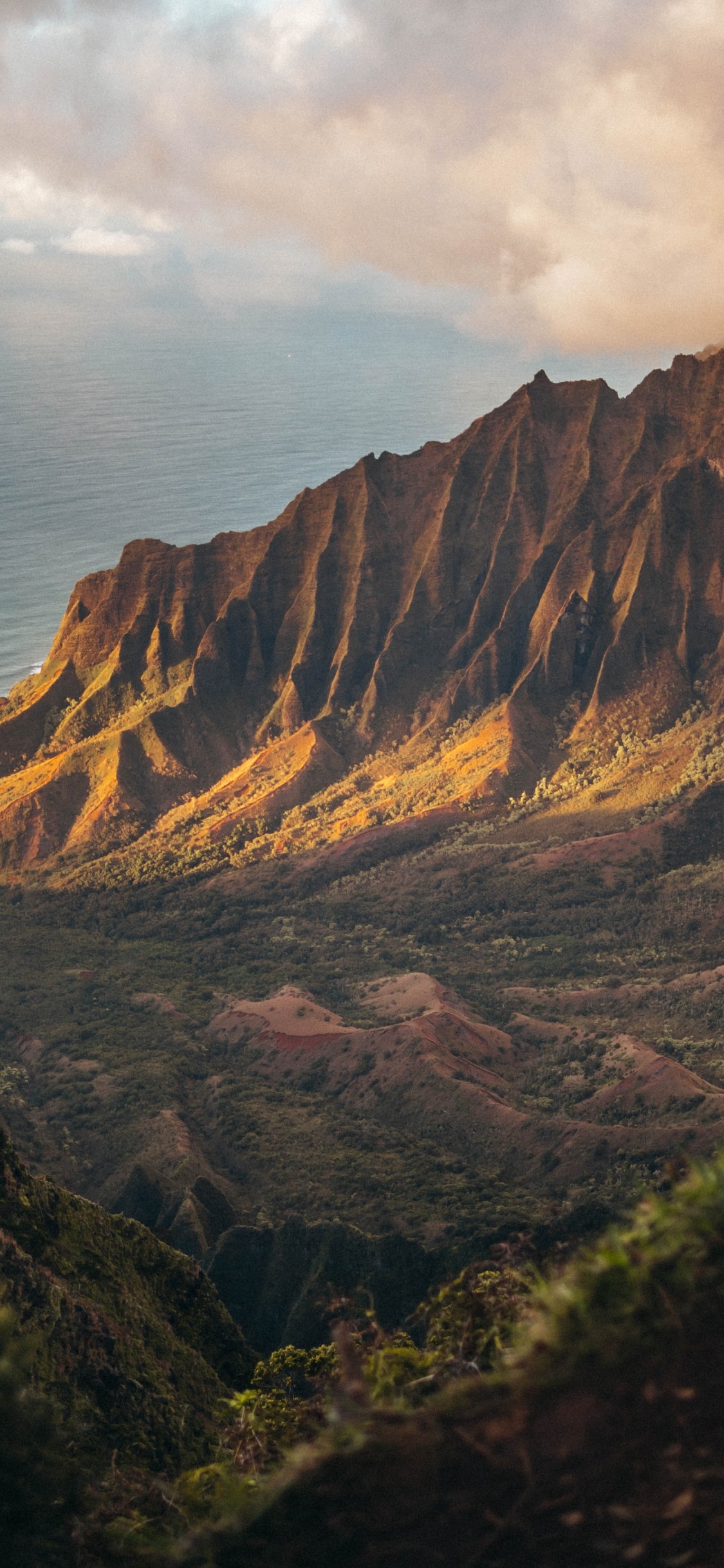 1125x2436  Обои 2020, июль, август, облако, растение для iPhone X / XS бесплатно,  заставка 1125x2436 - скачать картинки и фото