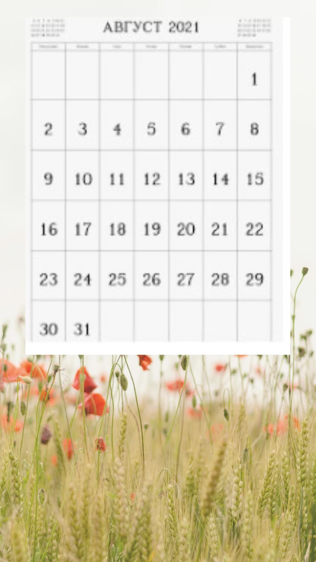 1080x1920  кофейные истории | Обои на телефон | Дзен