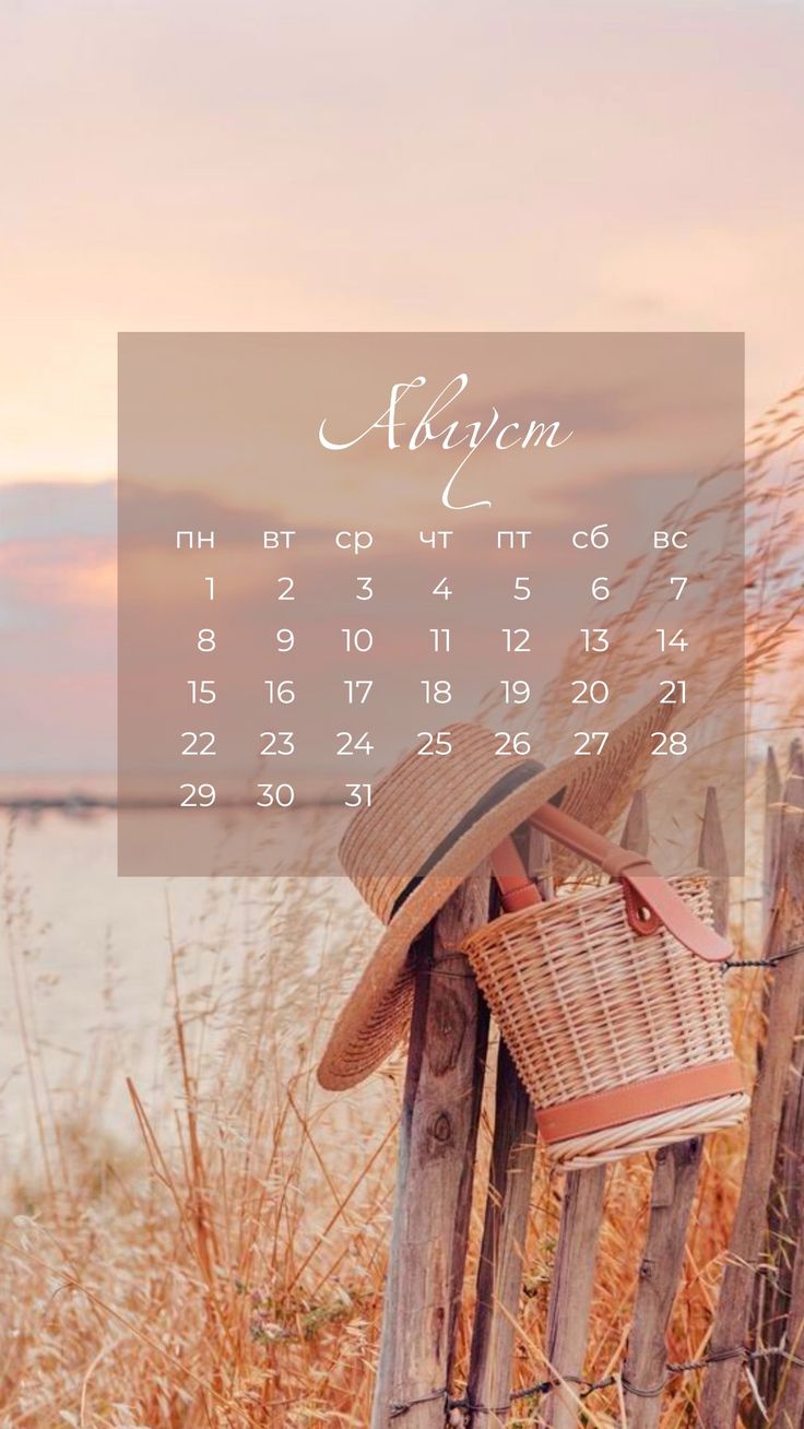 736x1308  Обои на телефон с календарём на август 2022 года в 2023 г | Календарь на  август, Цветочные фоны, Шаблоны дизайна брошюры