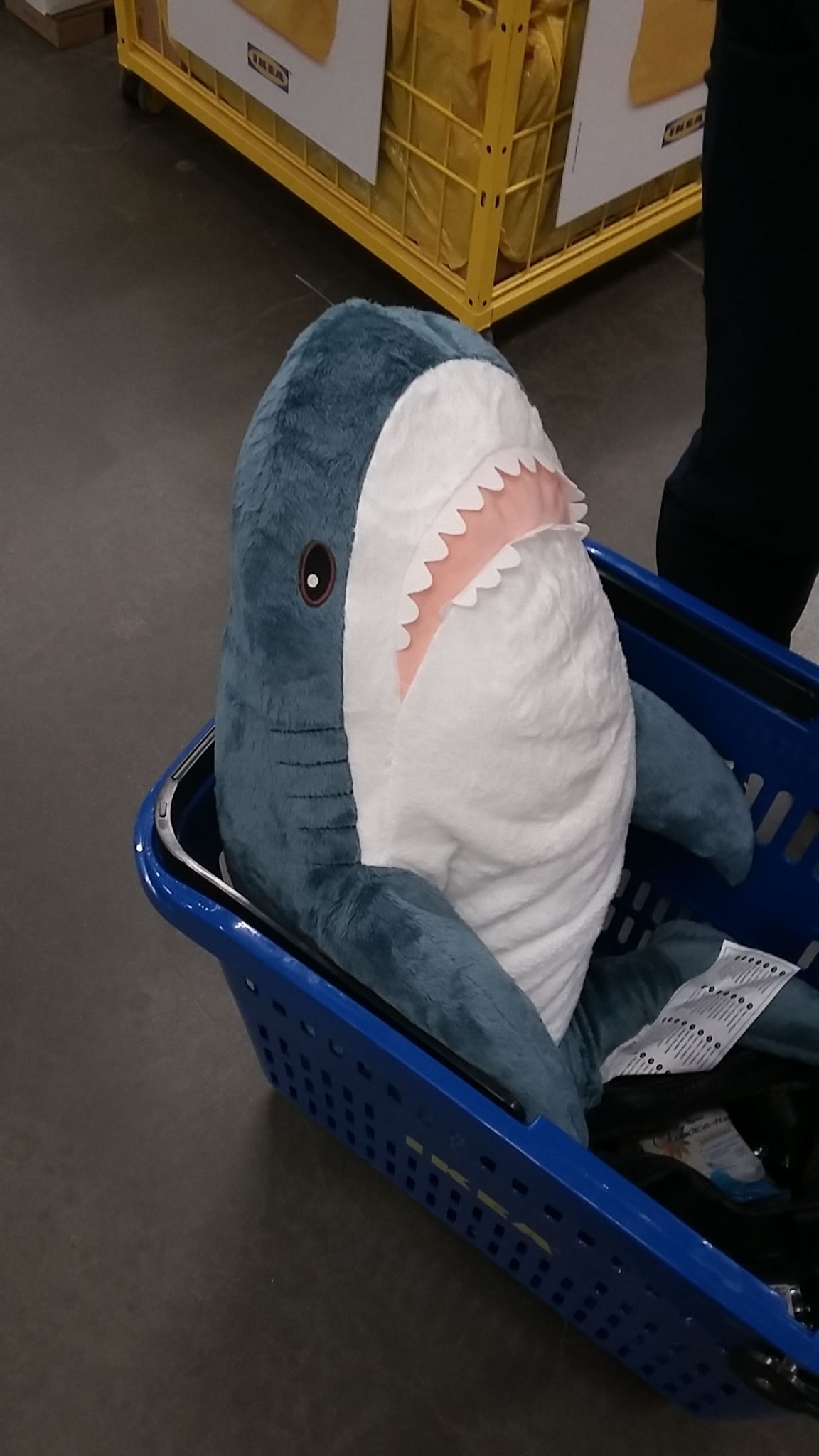 1152x2048  Акула из Икеи shark IKEA | Синяя акула, Смешные диснеевские картинки, Мем  акула