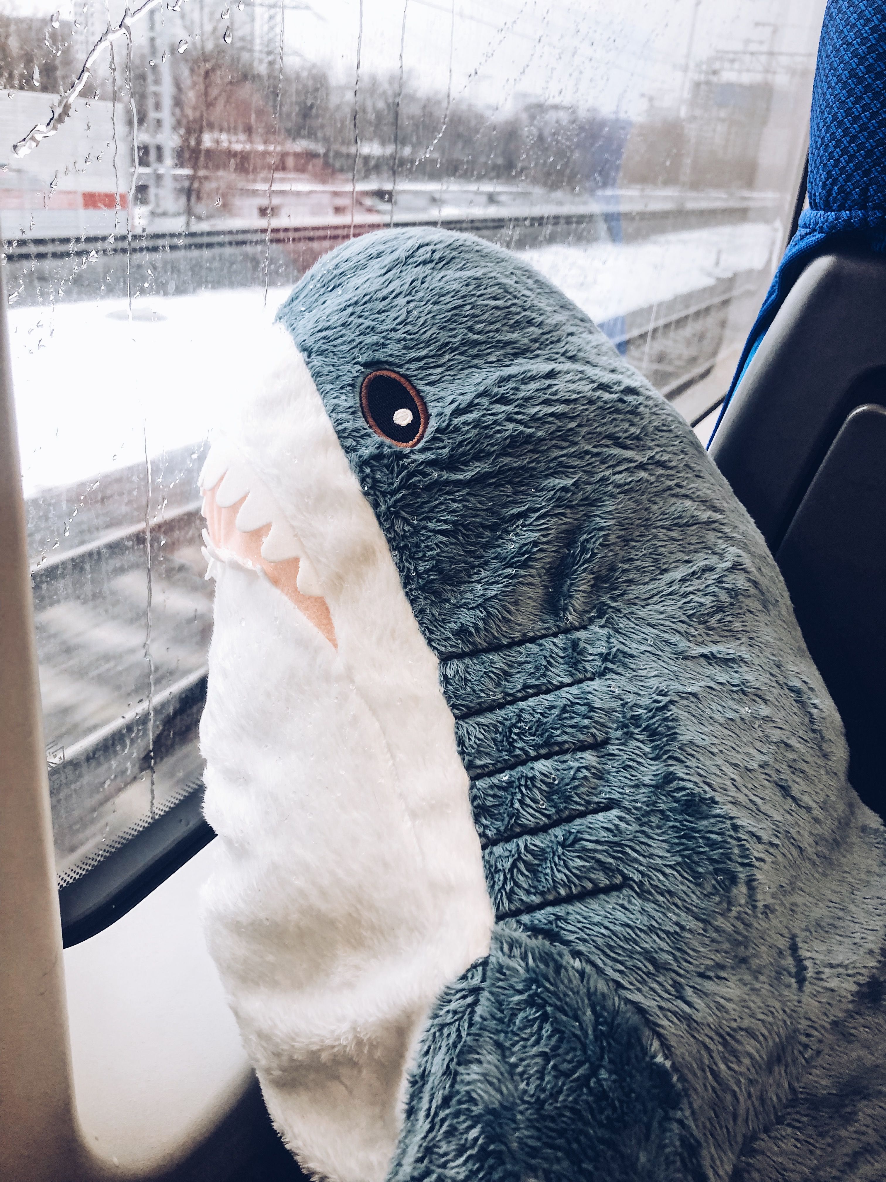 3024x4032  ikea #Икеа #акула_из_икеи | Плюшевый, Синие картинки, Плюшевые игрушки