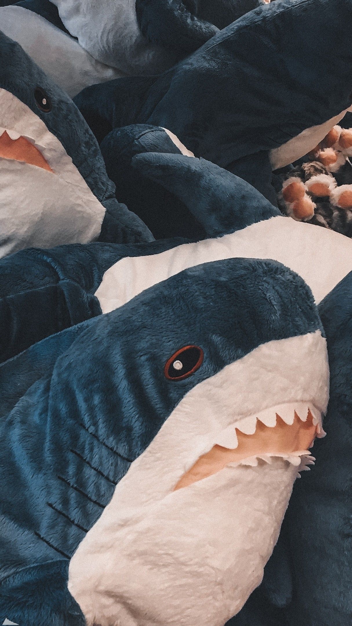 1215x2160  Акула 🦈? Две? в 2023 г | Синяя акула, Винтажные плакаты, Милые каракули