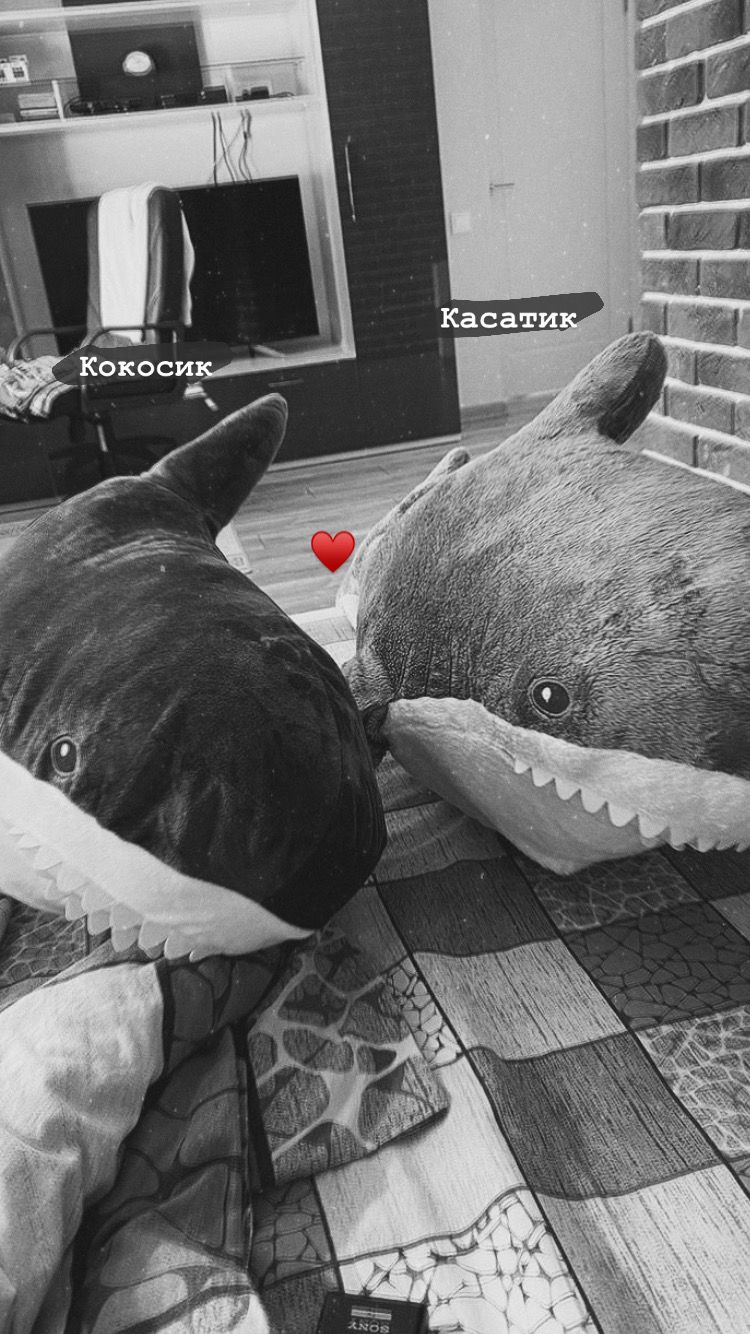 750x1334  Идеи на тему «Shark» (15) | синяя акула, мем акула, акула