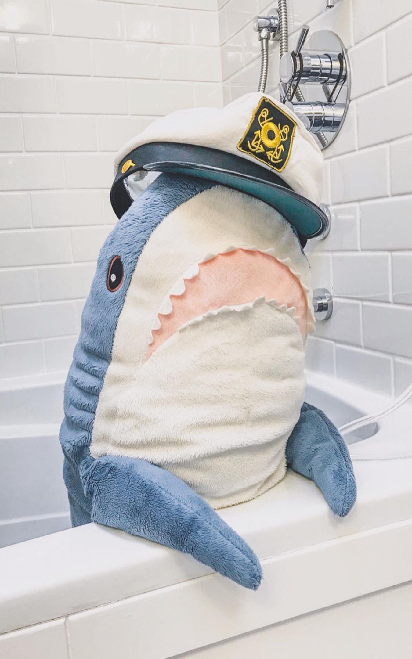 1350x2160  Идеи на тему «Обои» (170) | обои, смешные цитаты о работе, наряды для  питомцев